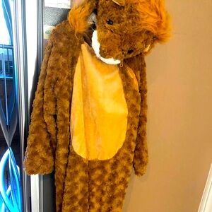 lion Costume for 5 year old